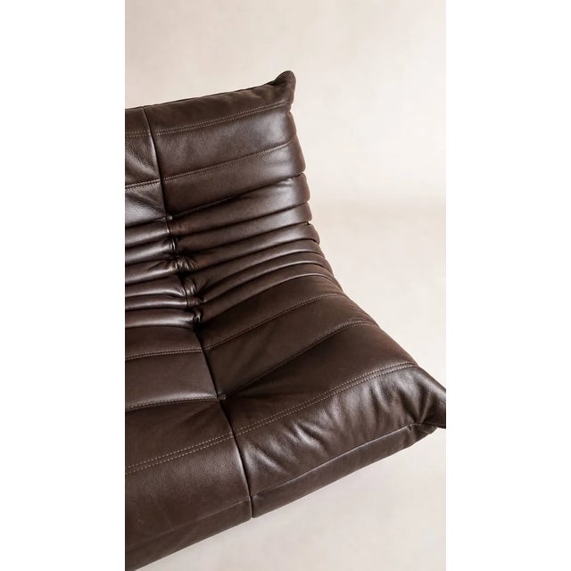 Ligne Roset Late 20th Century A 2-Seater Sofa Michel Ducaroy / Ligne Roset Brown Leather For Sale - Image 4 of 9