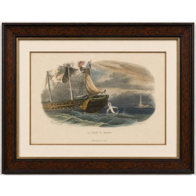 La Pêche du Requin (Shark Fishing), Hand-Colored Engraving, 1840 A superb maritime engraving depicting sailors pursuing a...