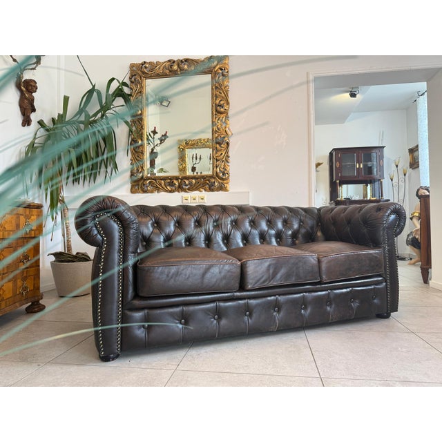 Chesterfield Three Seater Club Sofa from Zigarrenbraun For Sale - Image 3 of 18