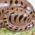Vintage Staffordshire Recumbent Cat Mantle Statue Figurine Left Facing For Sale - Image 12 of 12