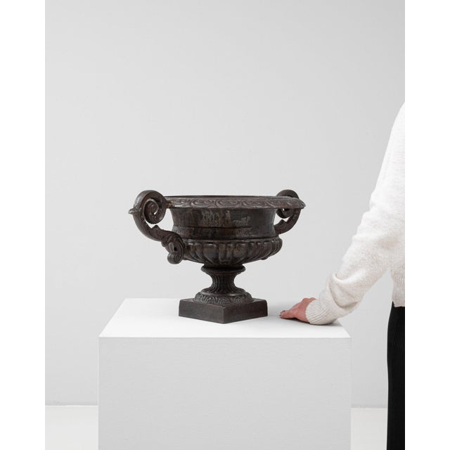 19th Century France Black Iron Planter For Sale In Greensboro - Image 6 of 8