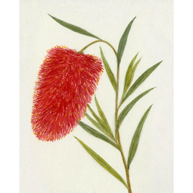 Soft lines, bright colors and neutral backgrounds accentuate the delicate details found in this collection sourced from...