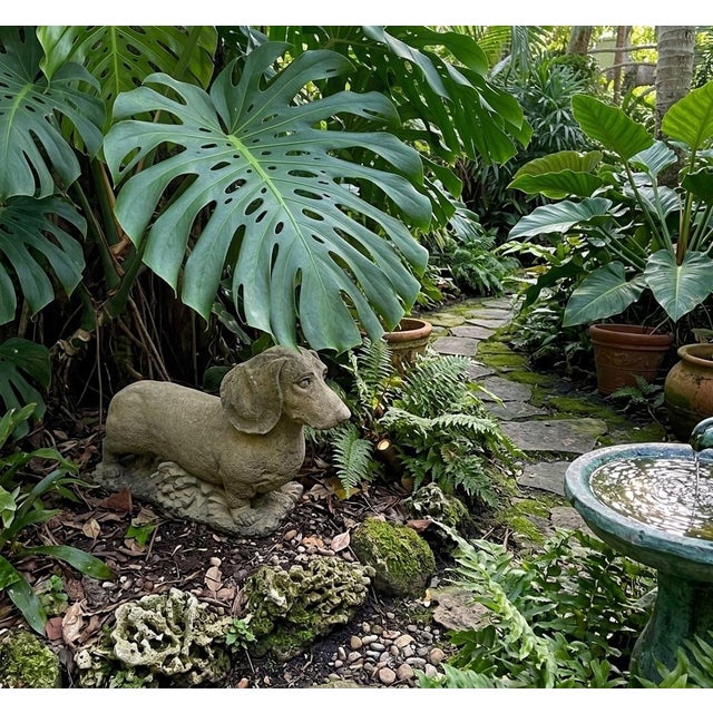 Vintage Lifesize Cast Stone Dachshund Garden Statue For Sale In West Palm - Image 6 of 9