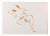 Leygue Louis, Seated Nude, Lithograph For Sale