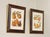 Farmhouse Chelsea House Decorative Pair of Pear Prints For Sale - Image 3 of 12