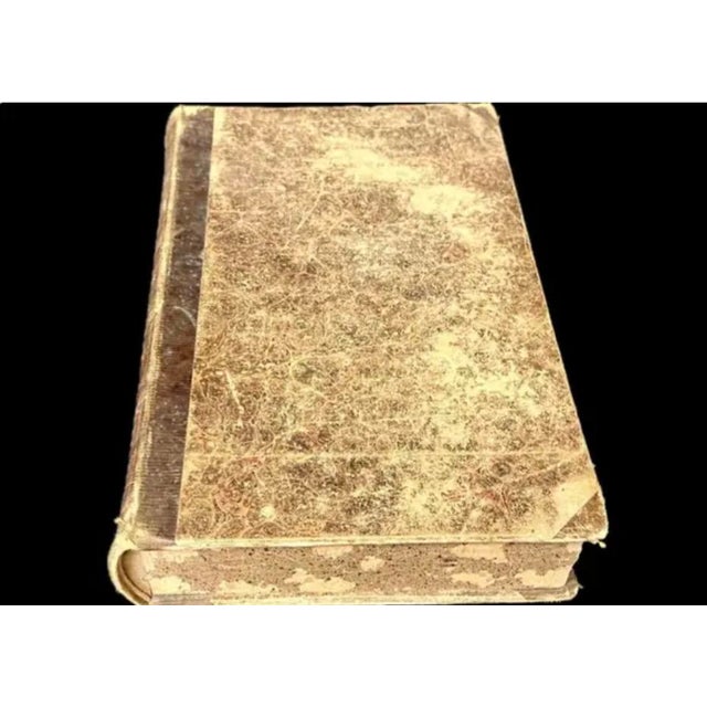 Grand Tour Book of Plaster Intaglios by Bartolomeo Paoletti For Sale - Image 13 of 15