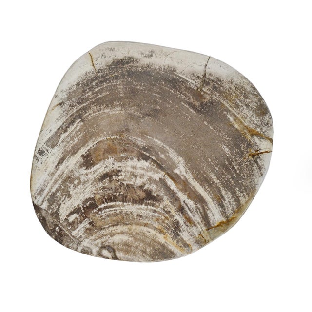 Petrified Stump Vintage Stool / Side Table For Sale - Image 4 of 4