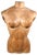 French Wooden Female Torso, 1950s For Sale