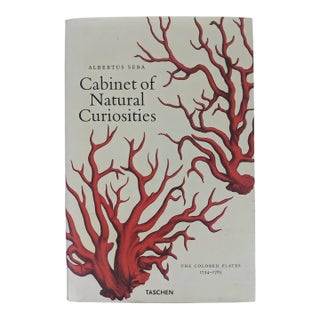 Albertus Seba's Cabinet of Natural Curiosities – Taschen Red & White Illustrated Book For Sale