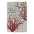 Albertus Seba's Cabinet of Natural Curiosities – Taschen Red & White Illustrated Book For Sale