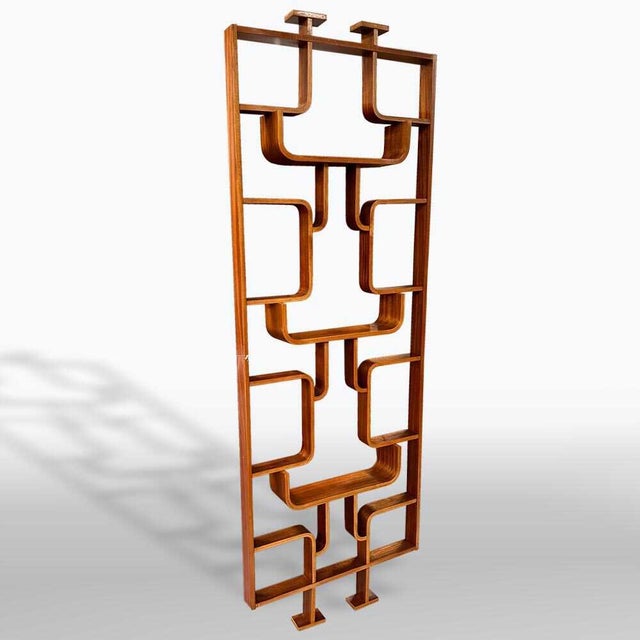 Mid-Century Room Divider by Ludvik Volak for Drevopodnik Holesov, 1960s For Sale - Image 9 of 9