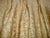 Vintage Fortuny Ucelli Curtain-Drapery Panel For Sale - Image 9 of 11