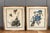 Pair of vintage mid century lithograph reproductions of birds from John James Audubon's Birds of America series, including...