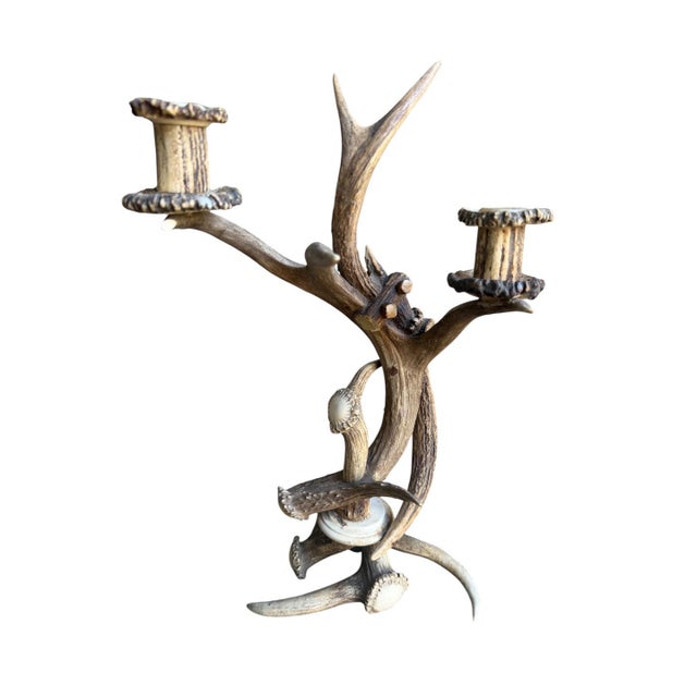 1900 - 1909 Antler Candelabra Black Forest Decor For Sale - Image 5 of 7