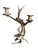 1900 - 1909 Antler Candelabra Black Forest Decor For Sale - Image 5 of 7