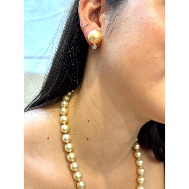 15 mm Round Golden South Sea Pearl & 1 Ct Diamond Cocktail Stud Earrings 14 KG For Sale - Image 12 of 18