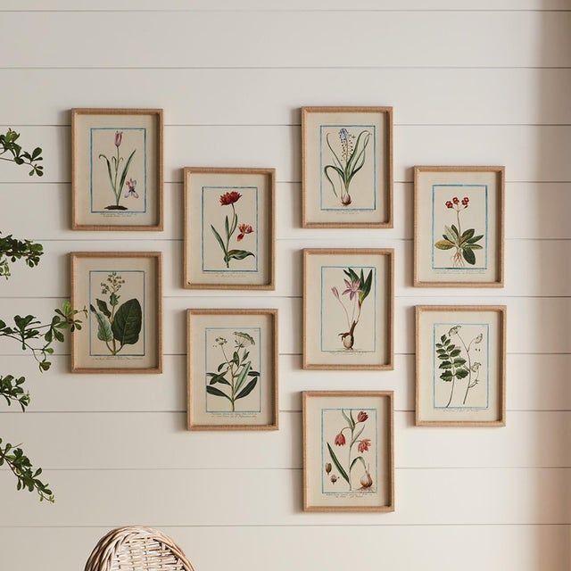 Contemporary Dainty Flora & Fauna Study, Set Of 9 For Sale - Image 3 of 5