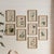 Contemporary Dainty Flora & Fauna Study, Set Of 9 For Sale - Image 3 of 5