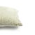 2020s Contemporary Clarke & Clarke Cesare in Duckegg Lumbar Pillow Cover For Sale - Image 5 of 6