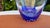 Glass Capella Series Carafe by Maud Gjeruldsen Bugge for Hadeland Glassverk, 1990s For Sale - Image 3 of 8