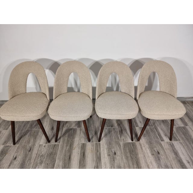 Dining Chairs by Antonin Suman, 1960s, Set of 4 For Sale - Image 9 of 15