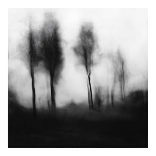 Blurred Landscape No. 1 - Original Black and White Photography | Unframed For Sale