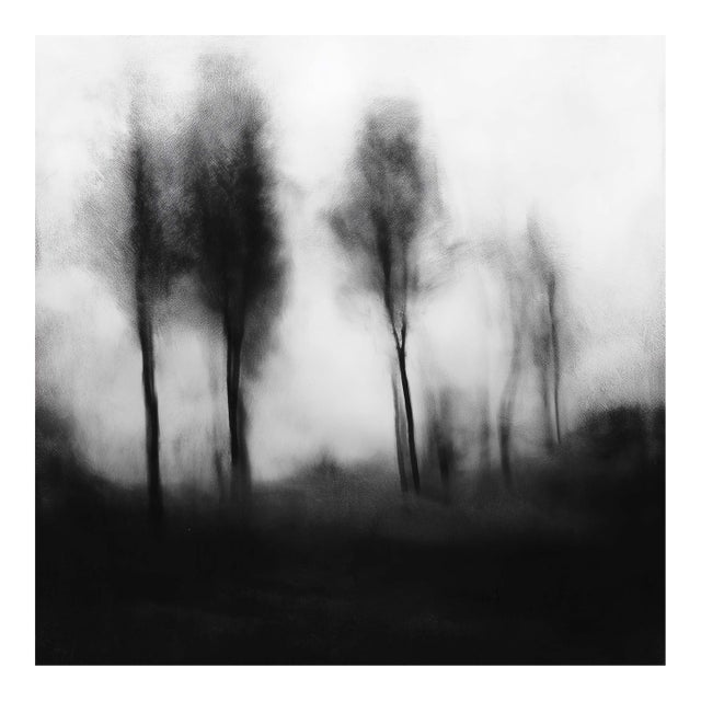 Blurred Landscape No. 1 - Original Black and White Photography | Unframed For Sale