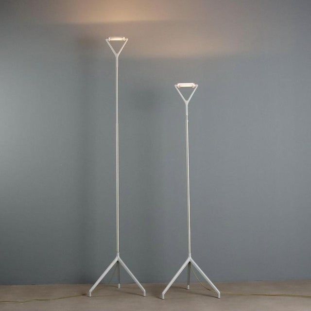 Lola D15 Floor Lamps attributed to Luceplan, Set of 2 For Sale - Image 13 of 13