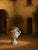 Large 17th Century Antique Terracotta Jardinière with Medusa Handle, Italy For Sale - Image 18 of 18