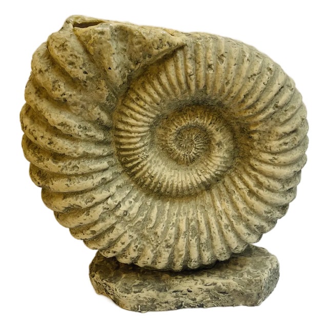 Large Ammonite Shaped Vase, 1980s For Sale