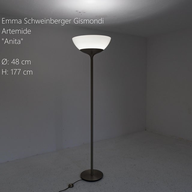 Aminta Floor Lamp for Artemide, Milan, 1960s For Sale - Image 9 of 10