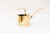Mid-Century Modern Brass Watering Can, Vienna, 1960s For Sale - Image 3 of 8