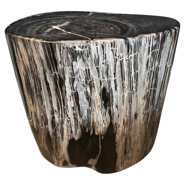 Impressive beautiful contrasting markings on this large high quality ancient petrified wood side table. It’s fascinating...