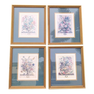 Vintage Botanical 4 Seasons Autumn, Summer, Winter, Spring Framed Art Prints Set 4 For Sale