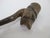 Antique Carved Male Ebenezer Inset Eyes Figure Monoxyl Wood Walking Stick Cane For Sale - Image 4 of 8