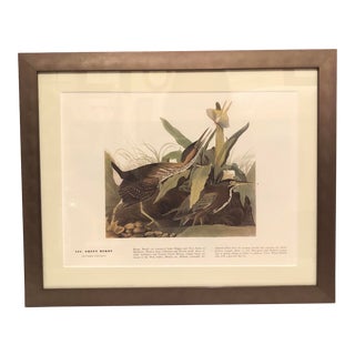 Vintage Framed Botanical Audubon Print of a Green Heron For Sale