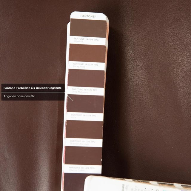 Taboo 3-Seater Sofa in Brown Leather from Willi Schillig For Sale - Image 11 of 16