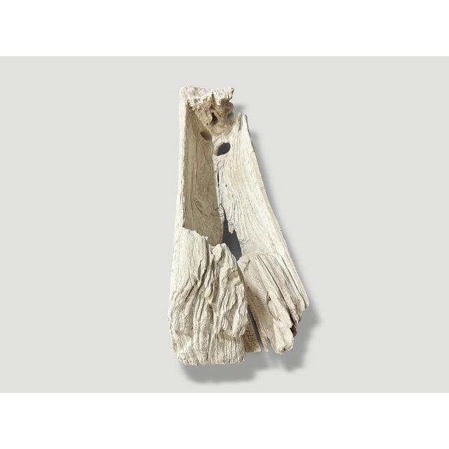 Andrianna Shamaris Sculptural Bleached Teak Wood Vessel For Sale - Image 16 of 18