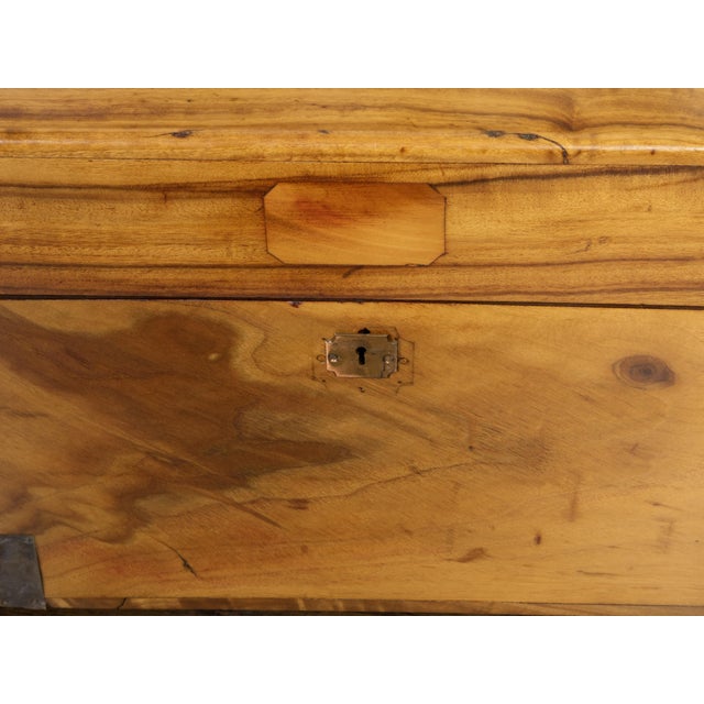 English 1890s Camphor Wood Small Trunk with Brass Accents and Bracket Feet For Sale - Image 10 of 10