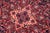 1980s Boho Chic Persian Tabriz Blue/Red Wool Rug - 6'11'' X 10'1'' For Sale - Image 5 of 10
