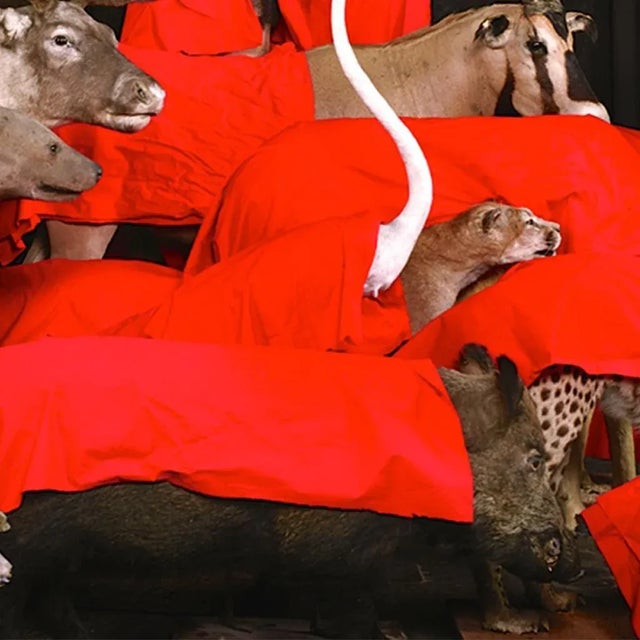 Eduardo Sourrouille, Photography Family Portrait II For Sale - Image 6 of 11