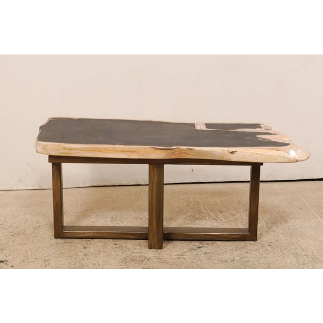Organic Modern Petrified Wood Coffee Table or Bench For Sale - Image 10 of 12