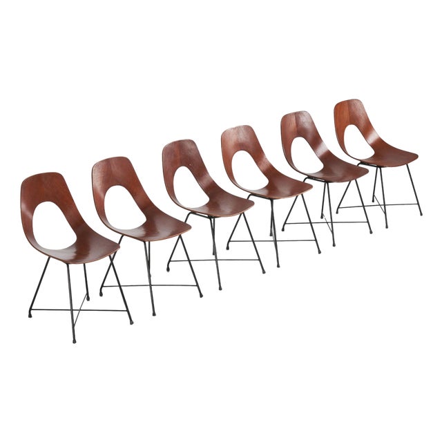 Ariston Dining Chairs by Augusto Bozzi for Saporiti, 1954, Set of 6 For Sale