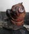 Victorian 19th Century Victorian Lignum Vitae Bulldog Inkwell, c.1860 For Sale - Image 3 of 7