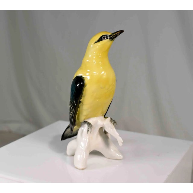 Early 20th Century Porcelain Indian Golden Oriole by Karl Ens Volkstedt Germany For Sale In Chicago - Image 6 of 12