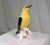 Early 20th Century Porcelain Indian Golden Oriole by Karl Ens Volkstedt Germany For Sale In Chicago - Image 6 of 12