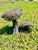 Mid 20th Century Vintage Copper Sculpture of Mushrooms For Sale - Image 5 of 12