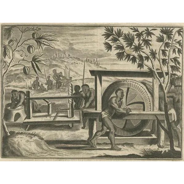 17th Century View of Sugar Milling, 1673, Paper For Sale - Image 5 of 10