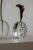 Glass Vintage Solifleur Vases from Walther Glas, 1970s, Set of 2 For Sale - Image 7 of 11