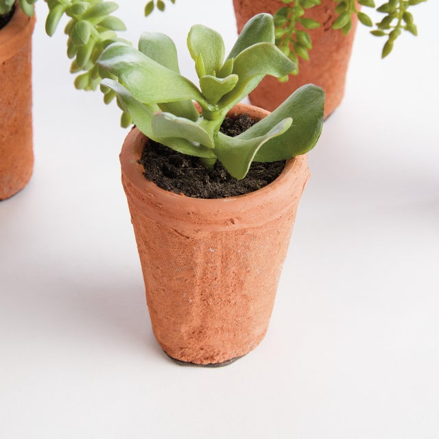 100% realistic a complete set of mini succulents. These dropins are nomaintenance works of art. Right down to the...